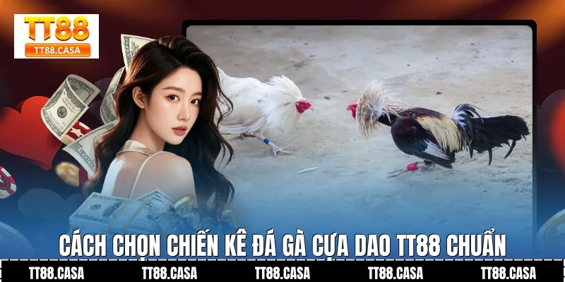 Cách Chọn Chiến Kê Đá Gà Cựa Dao TT88 Chuẩn